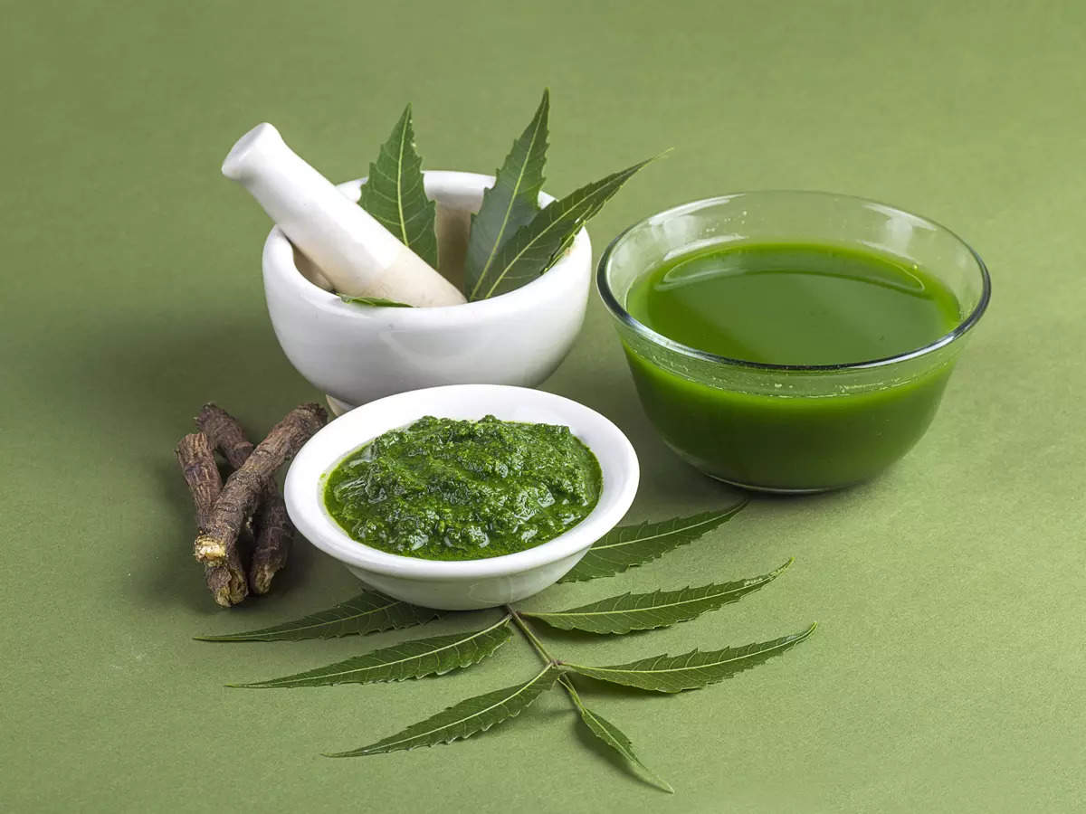 Neem as an adjunctive therapeutic in breast cancer management: a natural support in integrative oncology